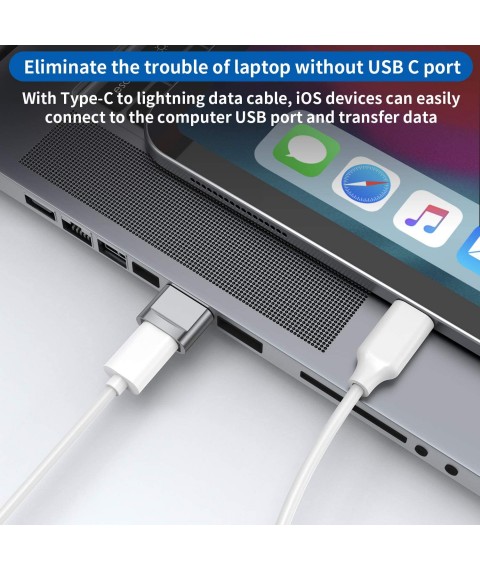 USB C Female to USB Male Adapter